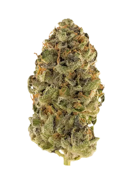 Sour Pink Grapefruit