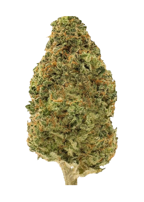 South Indian Indica