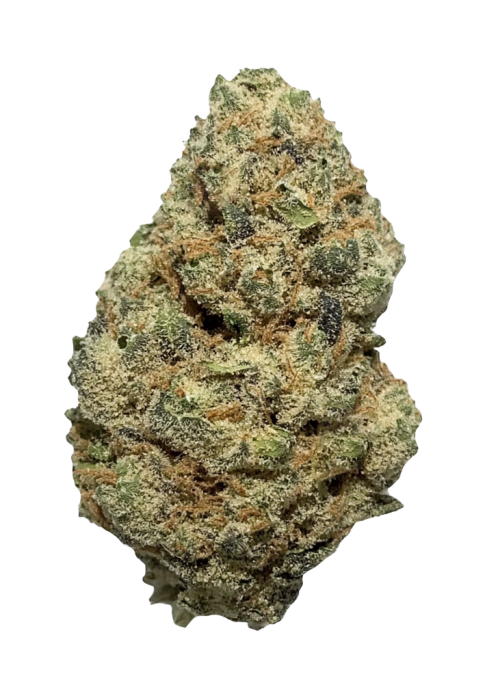 MK Ultra