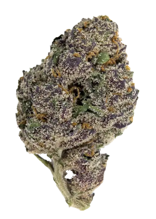 Glitter Bomb