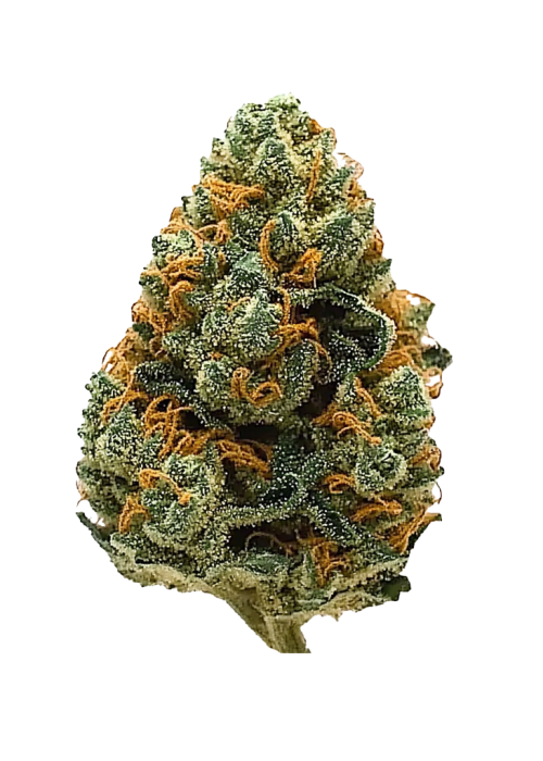 Pink Cookies