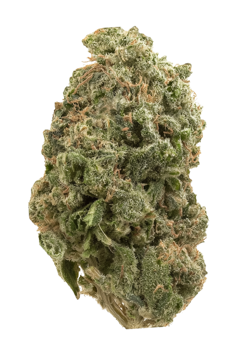 Axilla