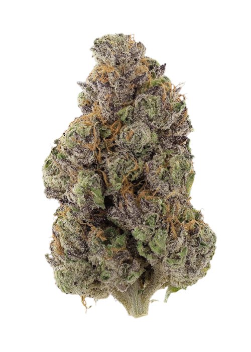 Raspberry Kush