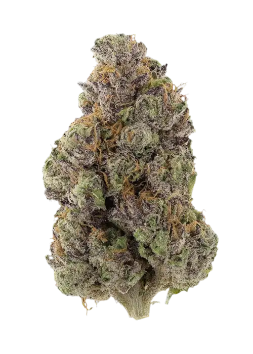 Raspberry Kush
