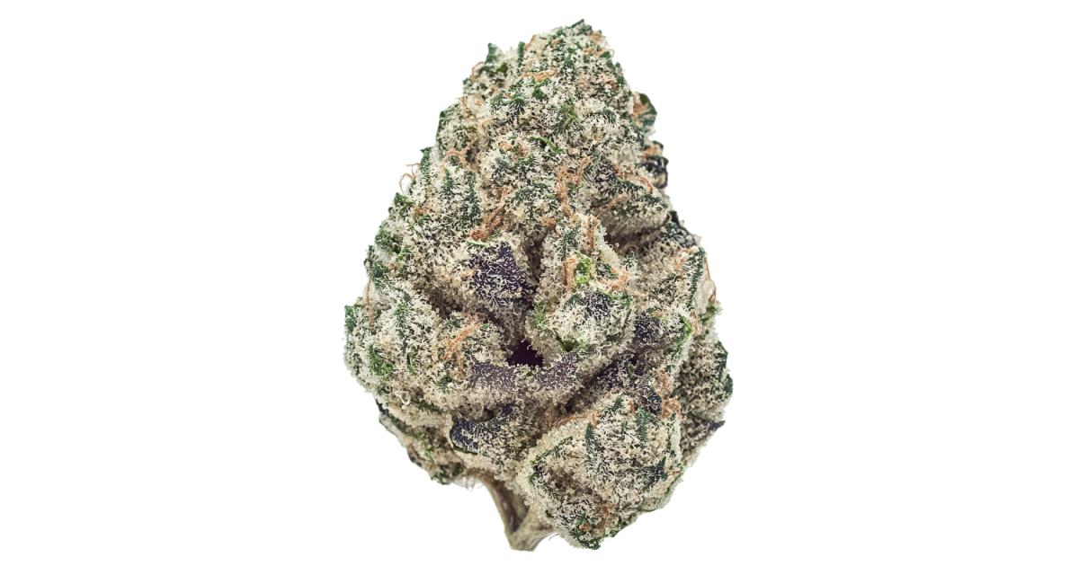 White Wedding Cannabis Strain Information - GrowDiaries
