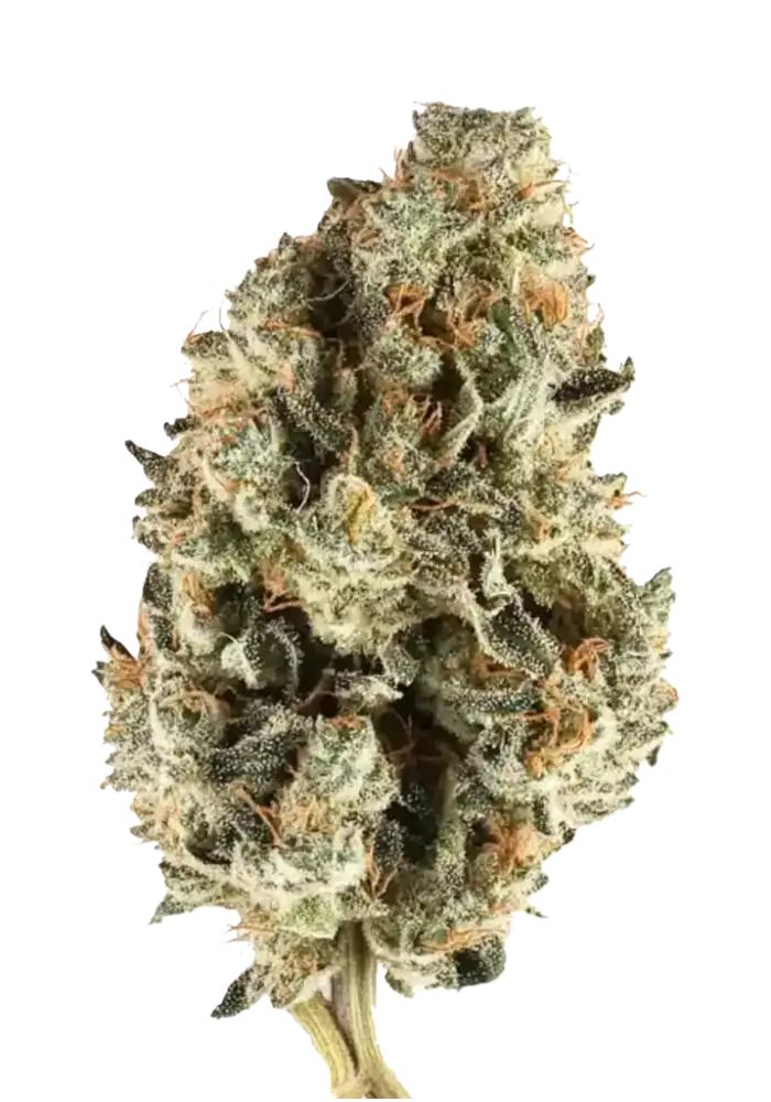 Cherry Pie