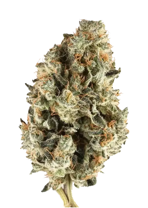 Cherry Pie