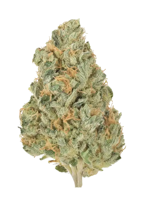 Hitman OG
