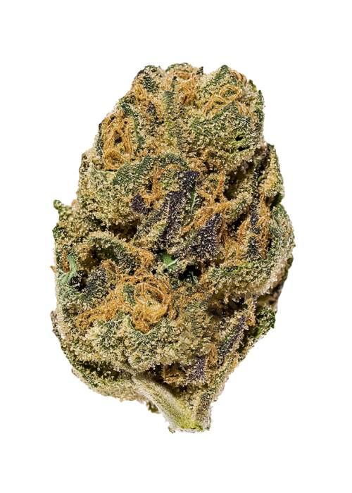 Agent Orange