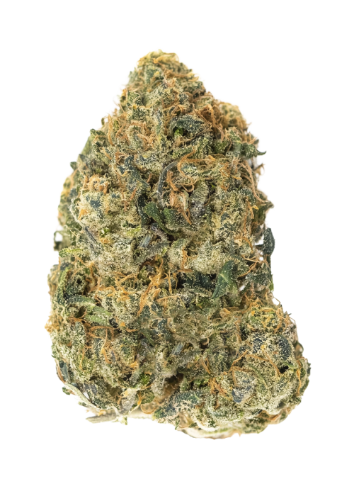 Ancient OG