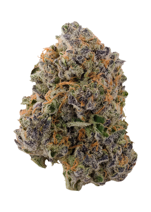 Black Cheese
