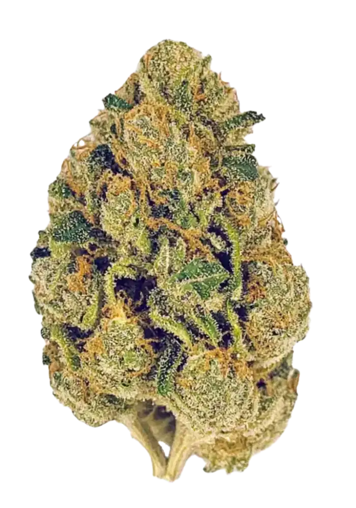 Super Lemon Haze