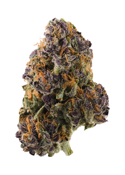 Berry Blossom