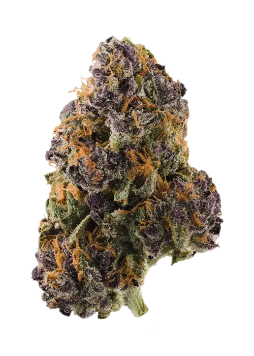 Berry Blossom