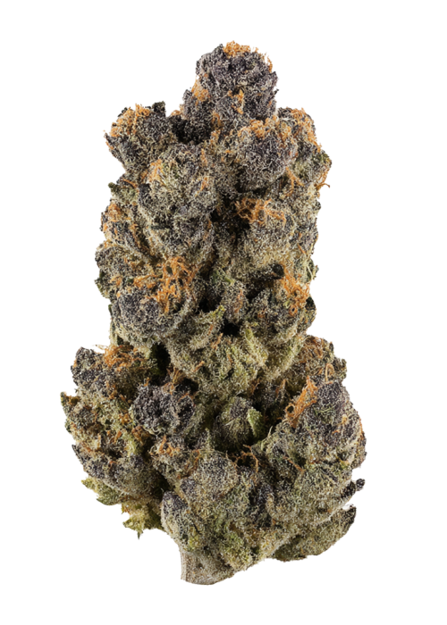 La Bomba