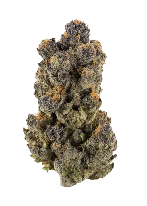 La Bomba