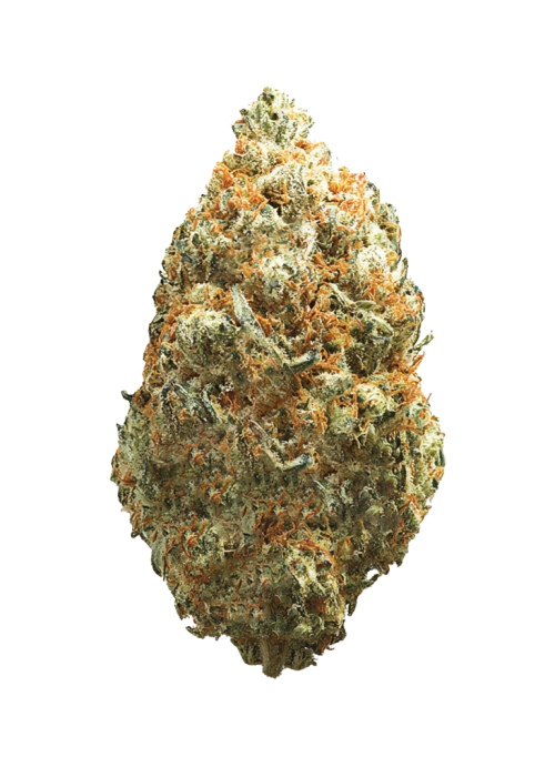 Gran Champagne