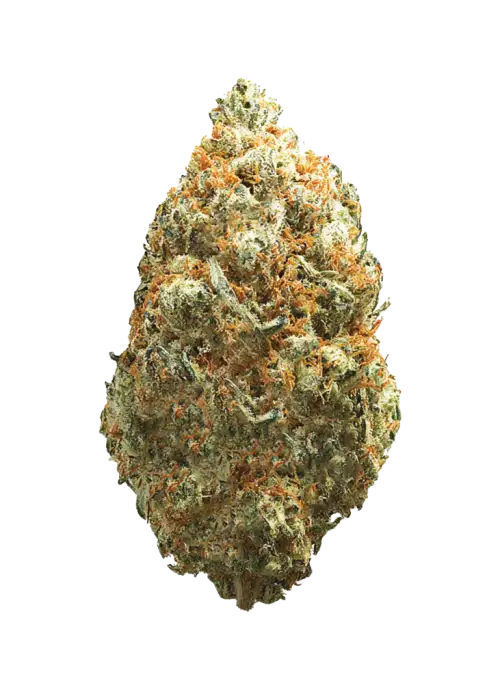 Gran Champagne