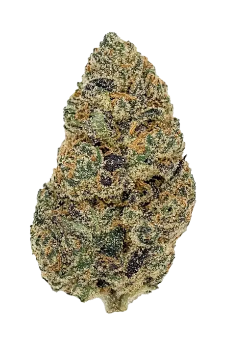 Meat Breath
