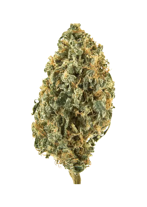 Lemon Cream