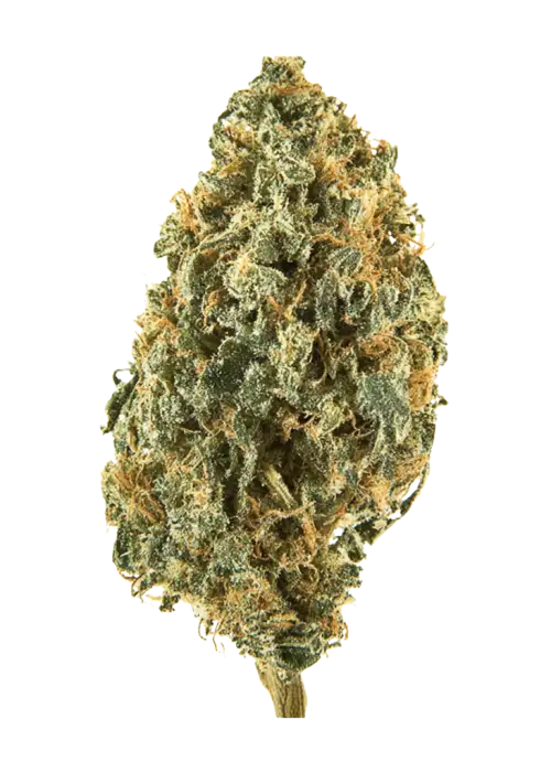 Lemon Cream