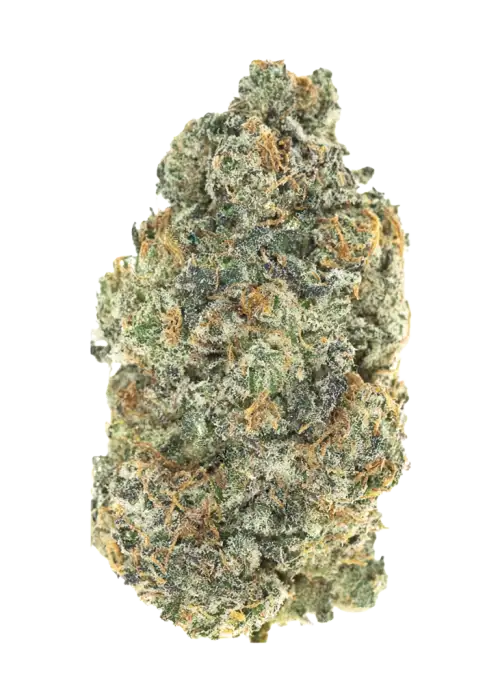 Citrus Rush