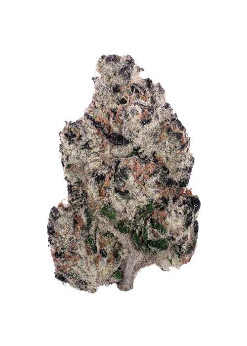 Pineapple Purple Skunk