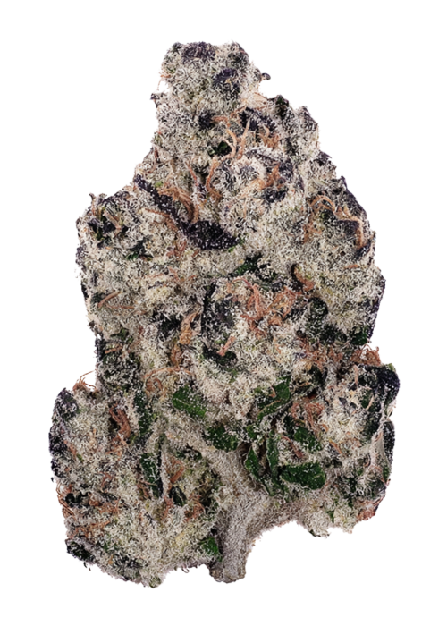 Pineapple Purple Skunk