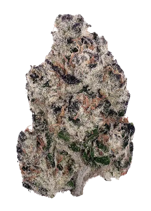 Pineapple Purple Skunk