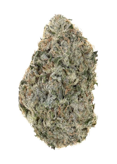 White Russian