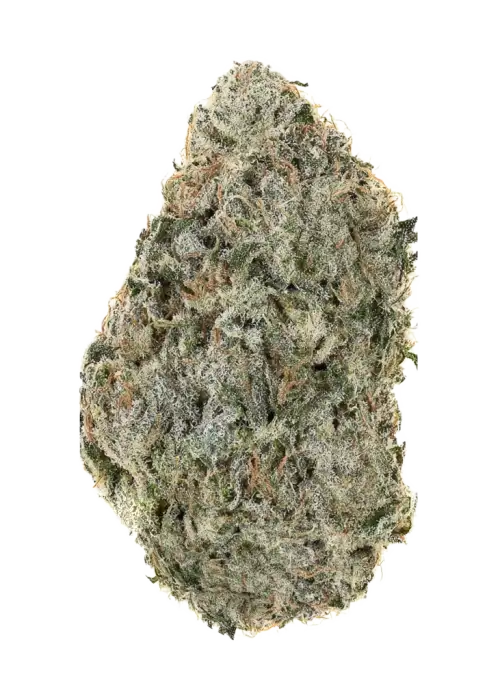 White Russian