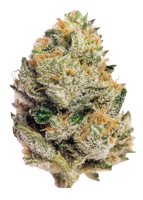 Obama Kush
