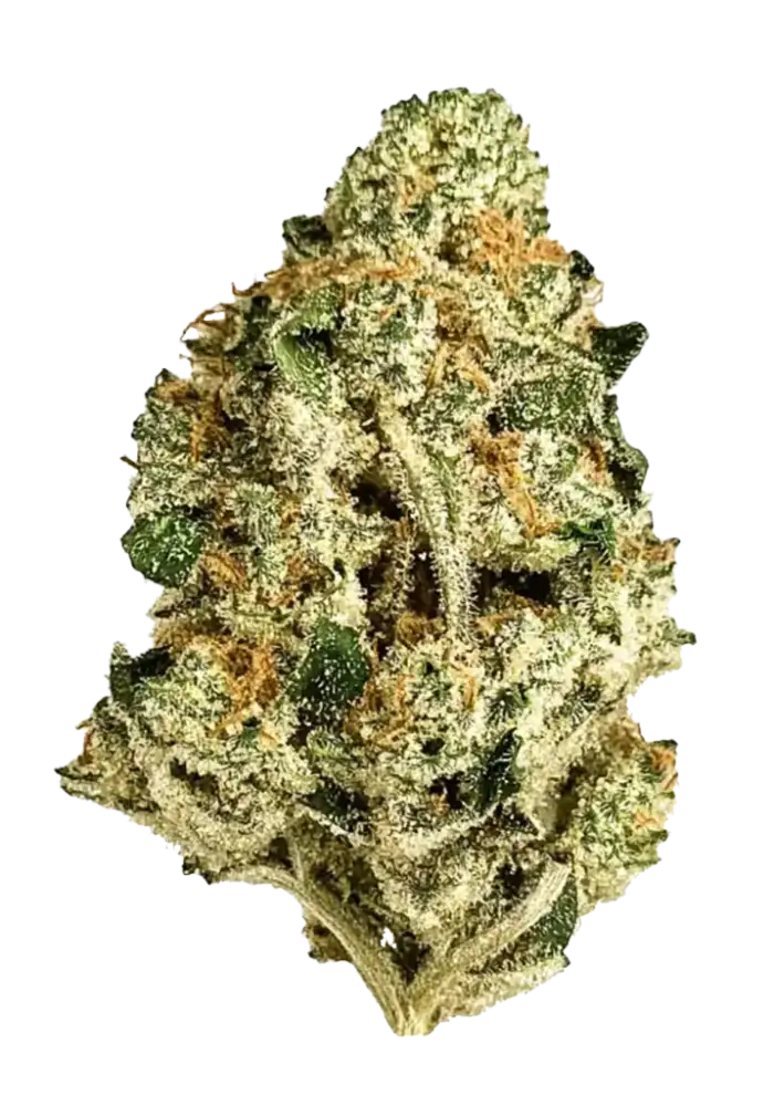 MAC