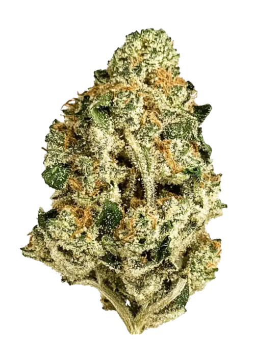 MAC