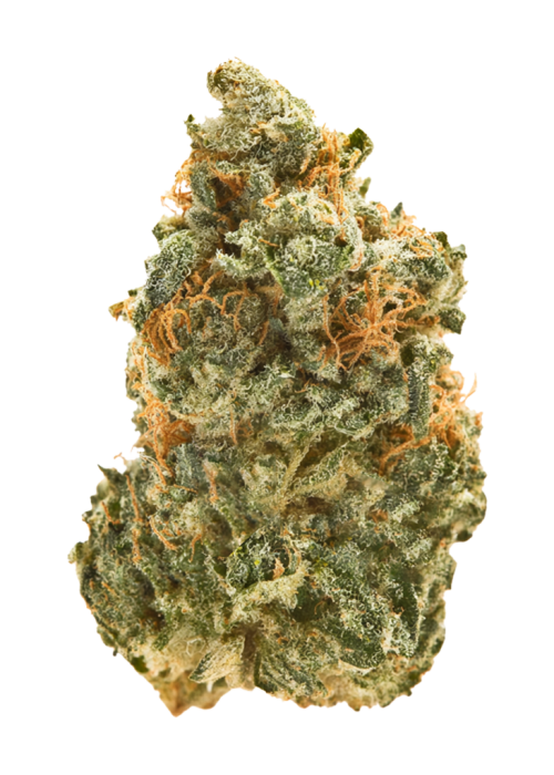 Chem 91