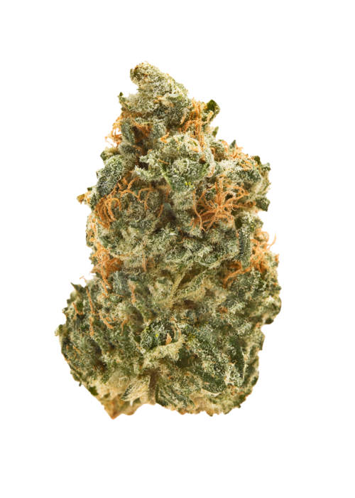Chem 91