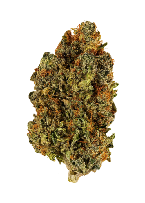 Dark Blue Dream