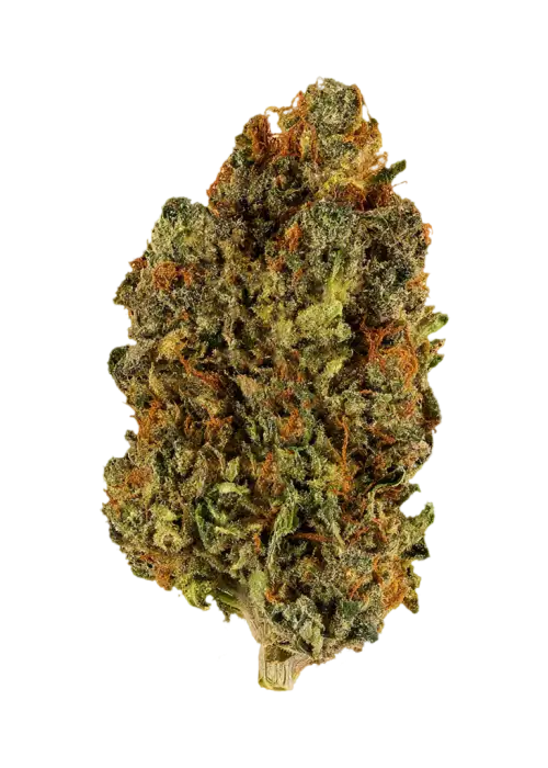 Dark Blue Dream
