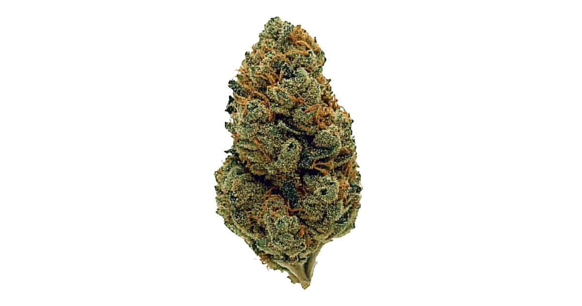 Strawberry Gary Cannabis Strain Reviews - GrowDiaries