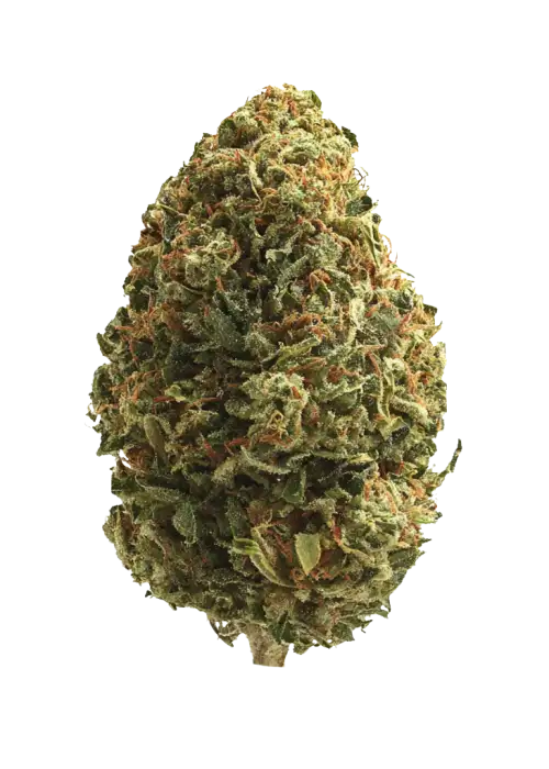 Double Lemon Pie