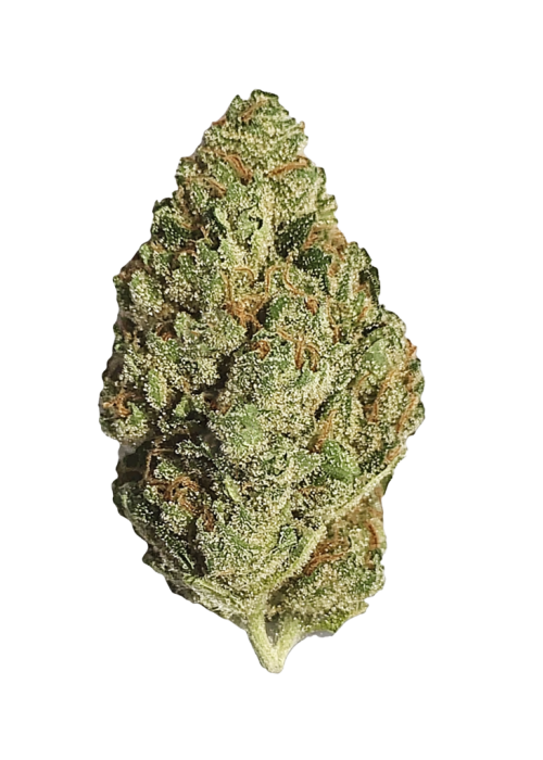 Lemon Drop
