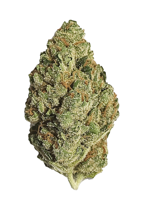 Lemon Drop