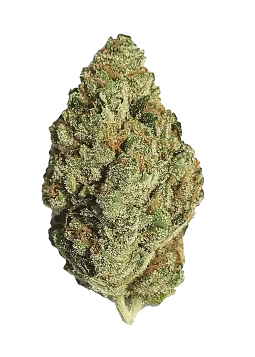 Lemon Drop