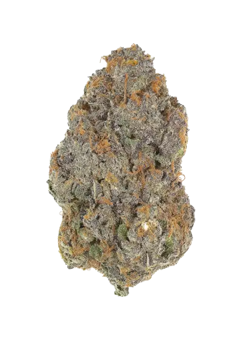 Papaya Bomb