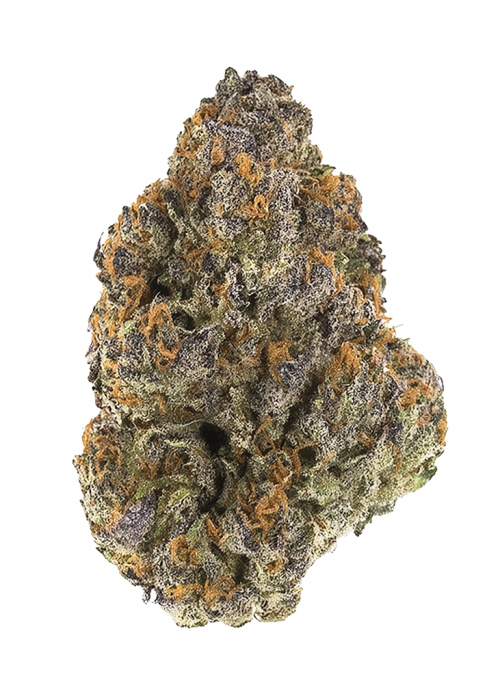Sour Blue Sunrise