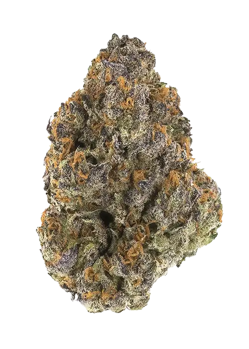 Sour Blue Sunrise