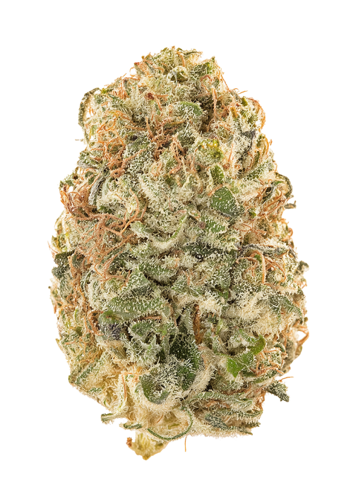 Orange Mojito