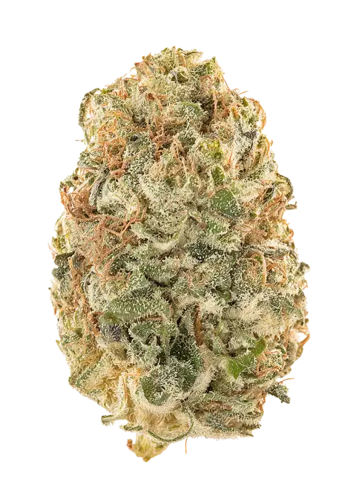 Orange Mojito