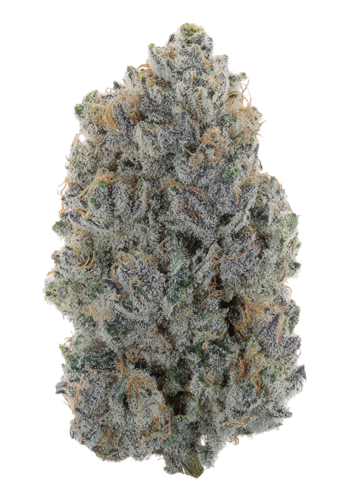 Purple Swish