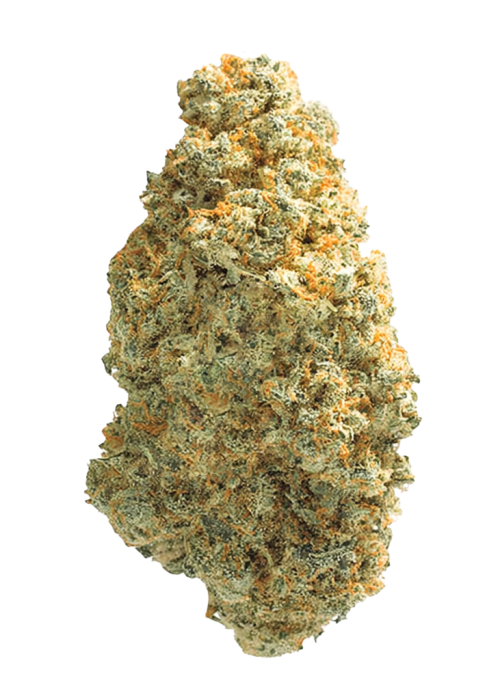 Alien Dawg